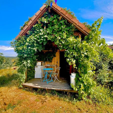 Villa La Colline Seive Boulieu-les-Annonay Esterno foto
